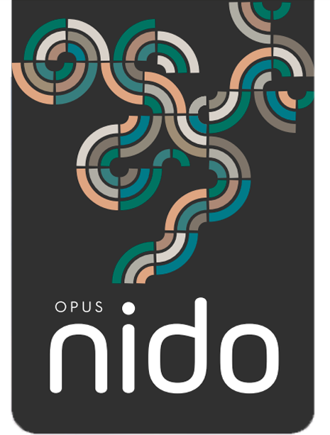 logo nido
